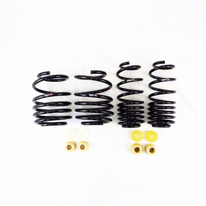 Lowering Springs Guide FL5