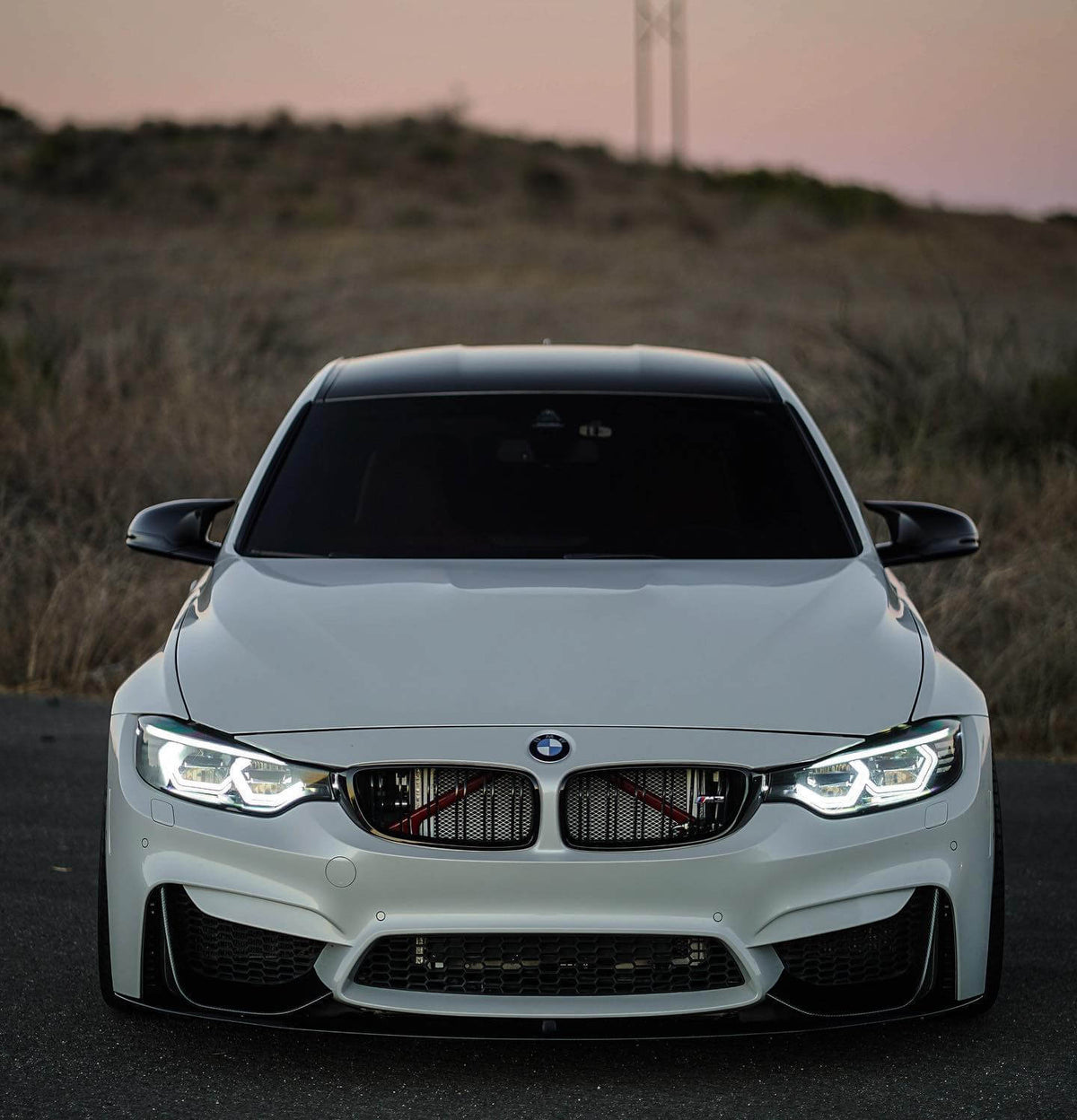 M Performance Carbon Fiber Front Lip w/ Canard - BMW F80 M3 & F82 / F83 M4.