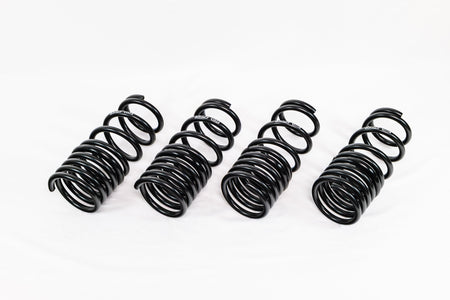 Honda S2000 AP1/AP2 (2000–2009) Spec-R Lowering Springs — 4H007R