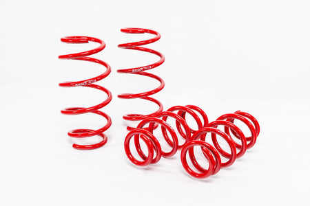 Honda Fit GD3 (2007-2008) Sport Springs — 4H912
