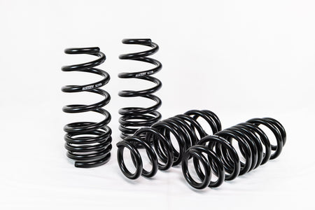 Acura TLX Type S (2021+) Spec-R Lowering Springs — 4H920R