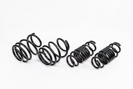Honda Civic Type R FL5 (2023+) Spec-R Lowering Springs — 4H922R