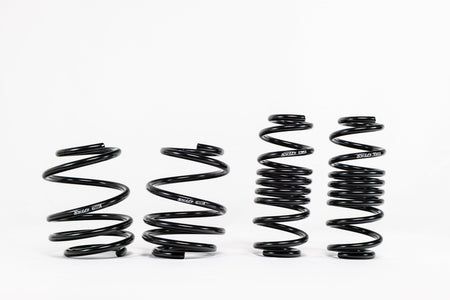 Acura Integra Type S (2023+) Spec-R Lowering Springs — 4H925R