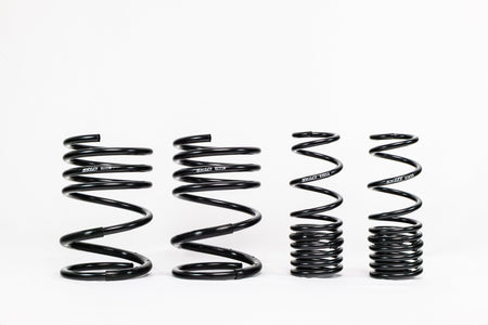 Mitsubishi Lancer EVO 8/9 (2005–2007) Spec-R Lowering Springs — 4M017R