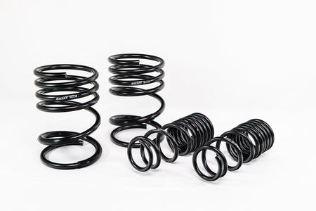Mitsubishi Lancer EVO 8/9 (2005–2007) Spec-R Lowering Springs — 4M017R