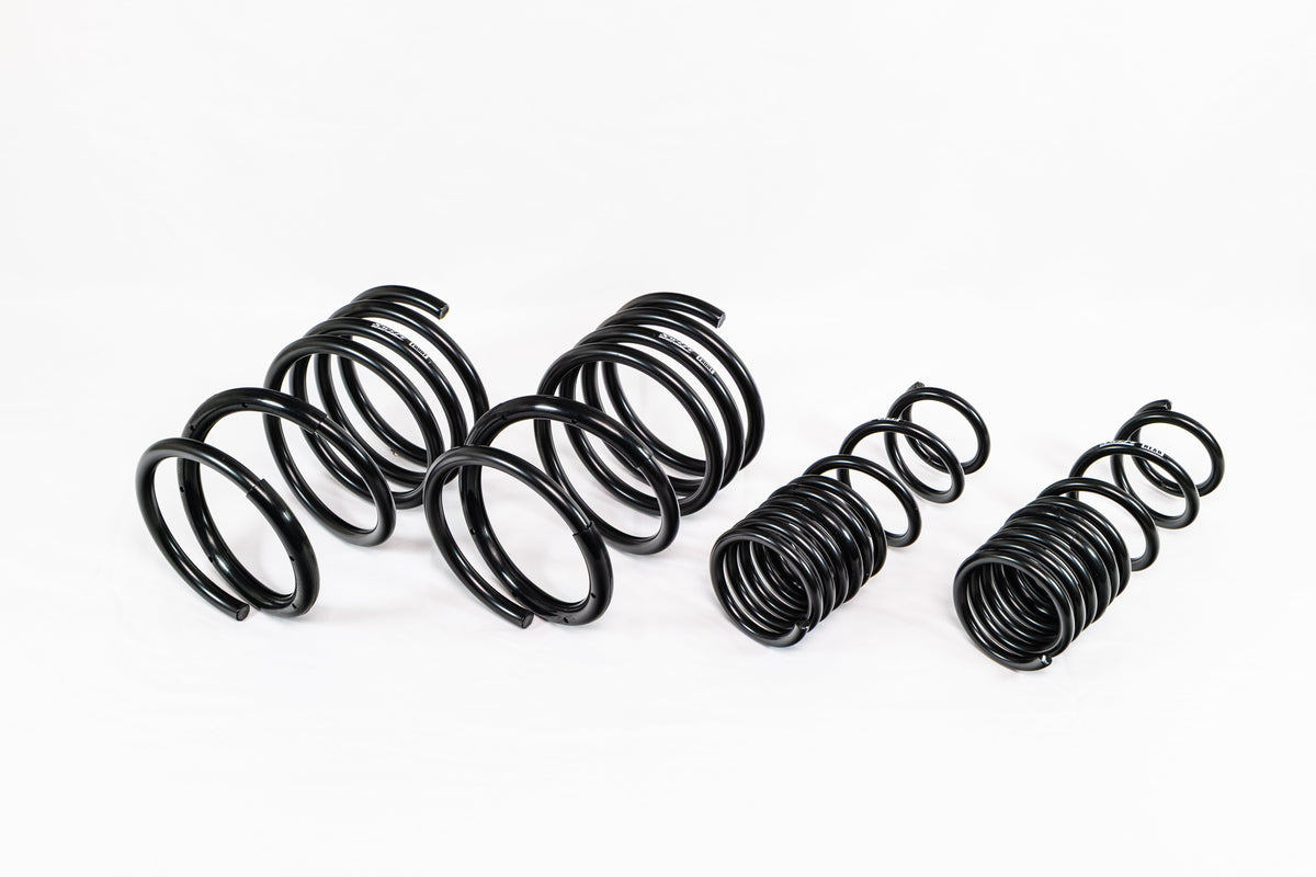 Mitsubishi Lancer EVO 8/9 (2005–2007) Spec-R Lowering Springs — 4M017R