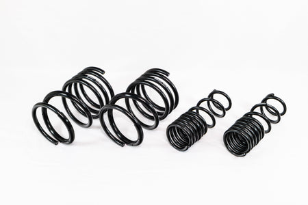 Mitsubishi Lancer EVO 8/9 (2005–2007) Spec-R Lowering Springs — 4M017R