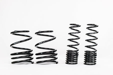 Mitsubishi Lancer EVO X (2008–2016) Spec-R Lowering Springs — 4M020R
