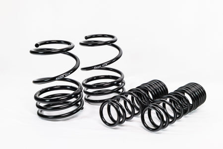 Mitsubishi Lancer EVO X (2008–2016) Spec-R Lowering Springs — 4M020R
