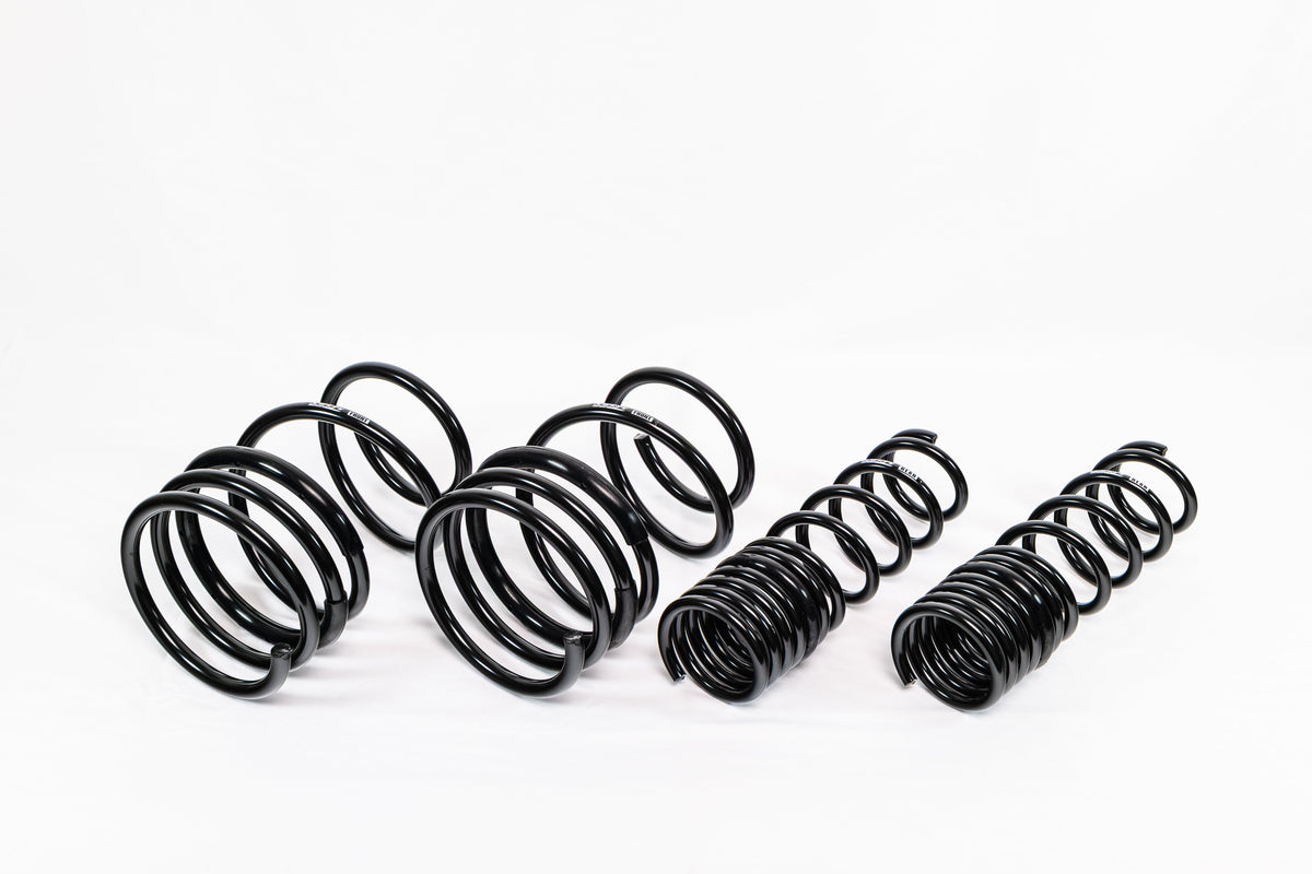 Mitsubishi Lancer EVO X (2008–2016) Spec-R Lowering Springs — 4M020R