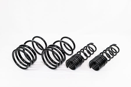 Mitsubishi Lancer EVO X (2008–2016) Spec-R Lowering Springs — 4M020R