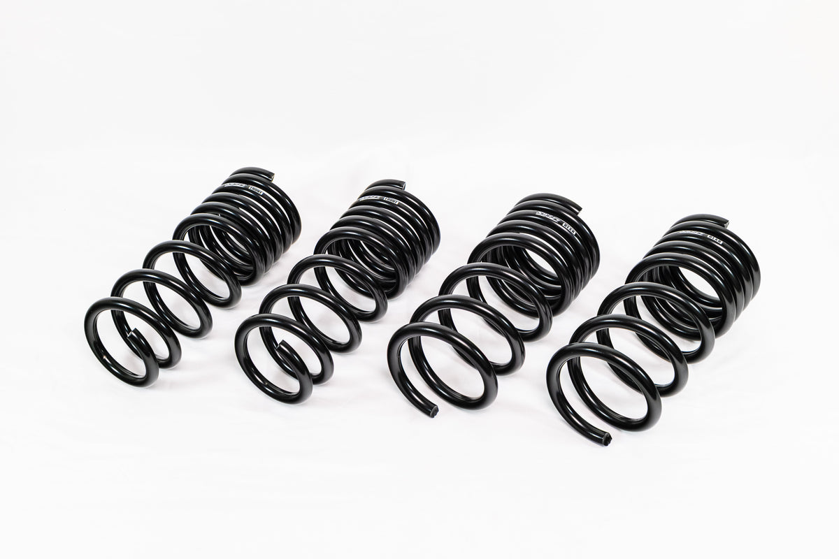 Nissan 370Z Z34 (2009–2020) Spec-R Lowering Springs — 4N905R