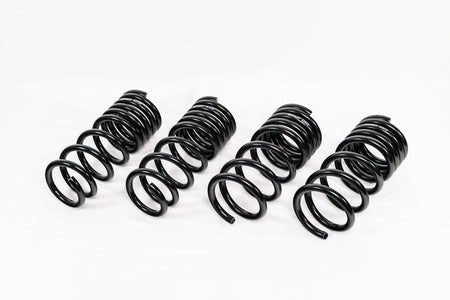 Nissan 370Z Z34 (2009–2020) Spec-R Lowering Springs — 4N905R