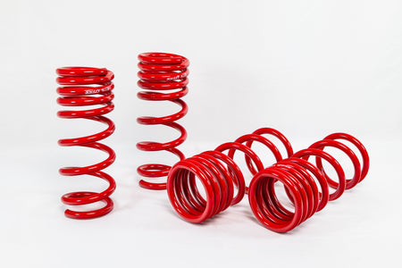 Infiniti G37 Coupe (2009-2015) Sport Springs — 4N906