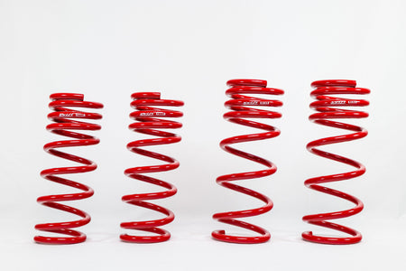 Infiniti Q40 G37 X Sedan (2008-2015) Sport Springs — 4N907