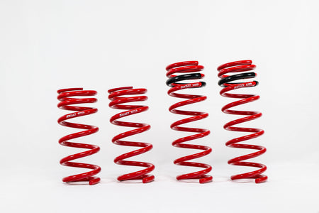 Nissan GTR (2015+) Sport Springs — 4N912