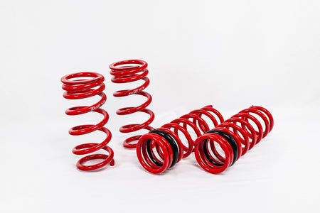 Nissan GTR (2015+) Sport Springs — 4N912
