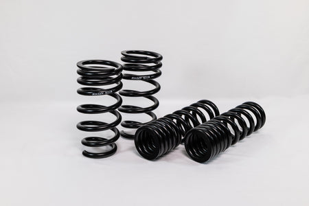 Lexus GS F (2016–2020) Spec-R Lowering Springs — 4T916R