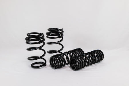 Toyota GR Supra (2020+) Spec-R Lowering Springs — 4T919R