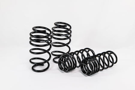 Ford Fiesta ST (2014–2019) Spec-R Lowering Springs — 4X910R