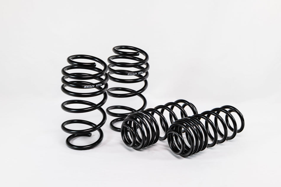Ford Fiesta ST (2014–2019) Spec-R Lowering Springs — 4X910R