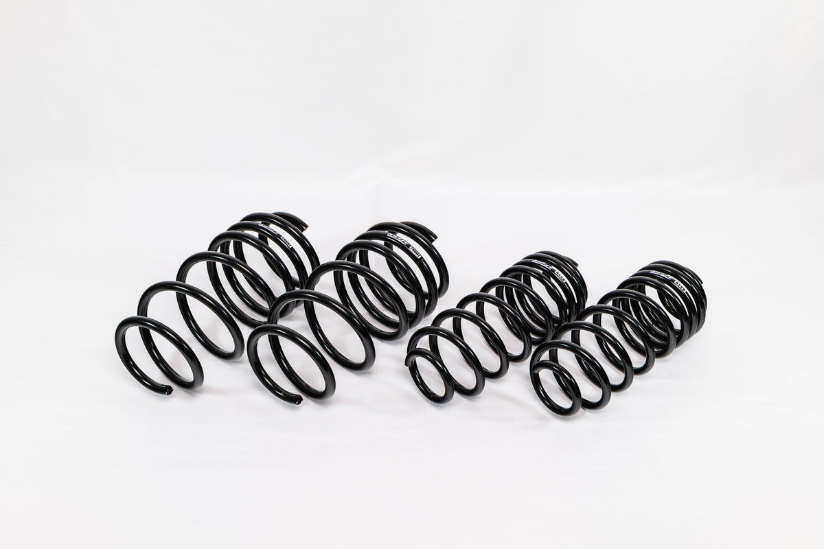 Ford Fiesta ST (2014–2019) Spec-R Lowering Springs — 4X910R
