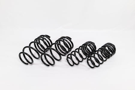 Ford Fiesta ST (2014–2019) Spec-R Lowering Springs — 4X910R