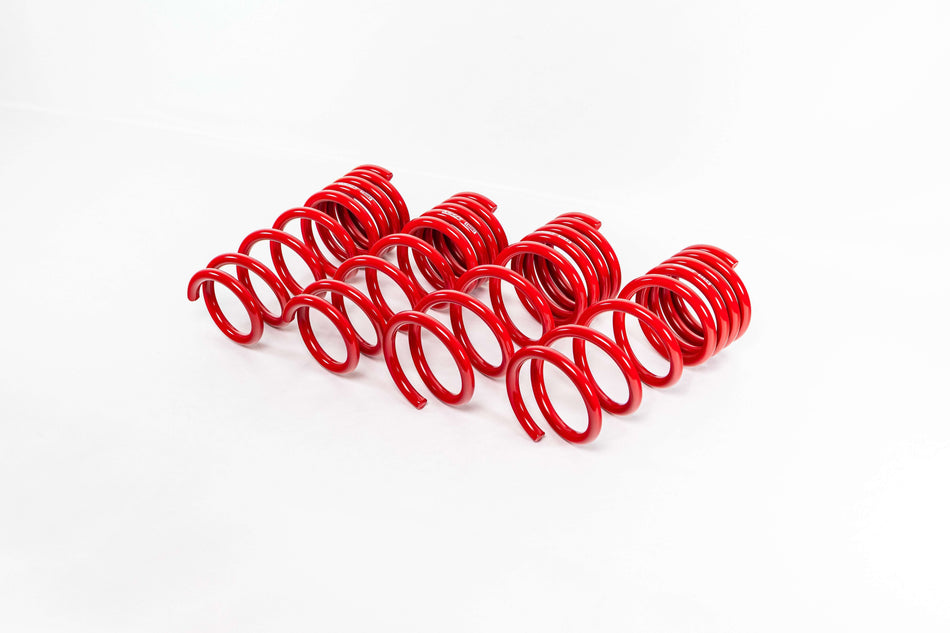 Honda Fit GE8 (2009-2014) Sport Springs — 4H021