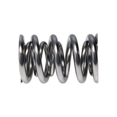Manley Valve Spring, SPRING-1.620 DOUBLE