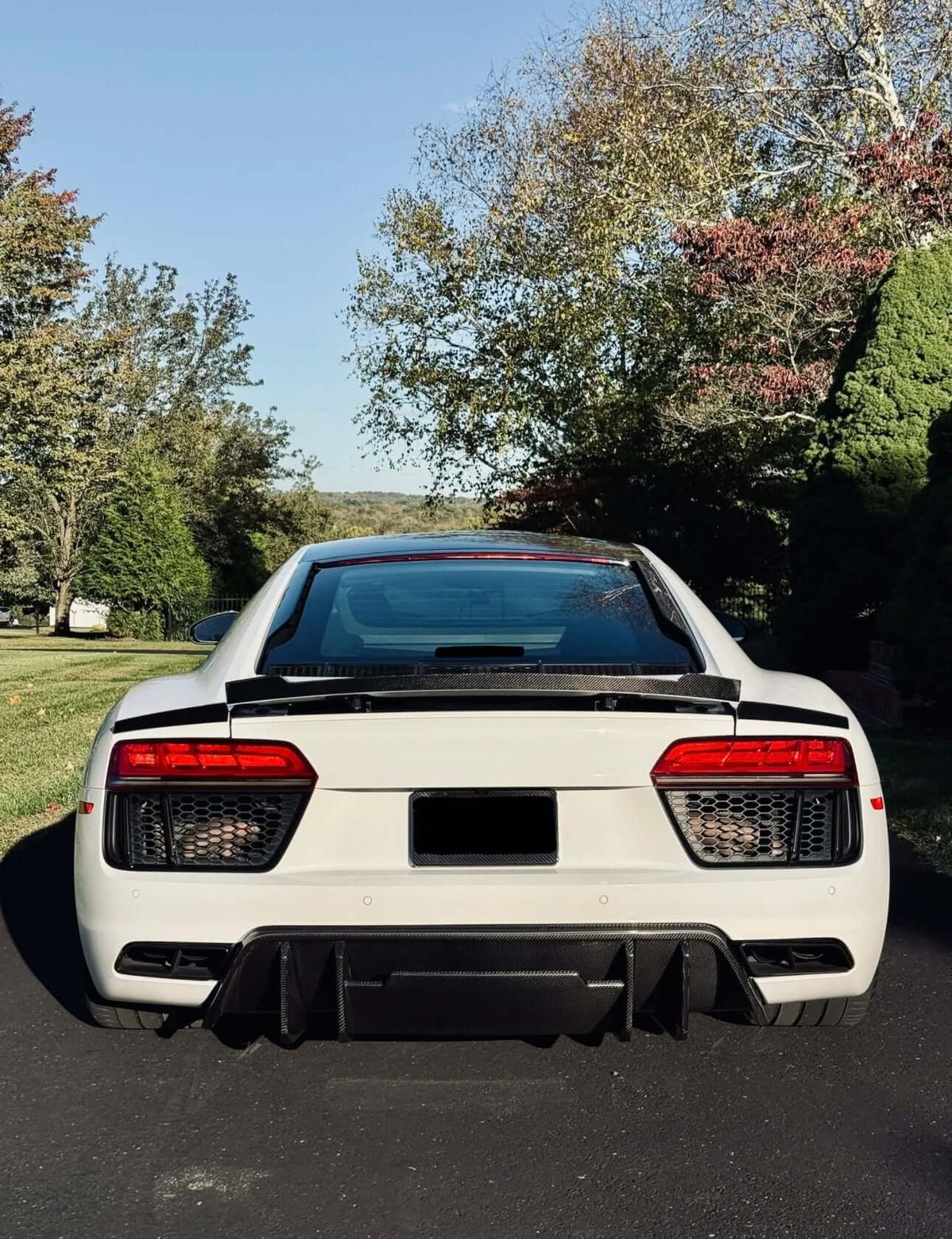 3 Piece Style Carbon Fiber Trunk Spoiler - Audi R8 V10 Type 4S.