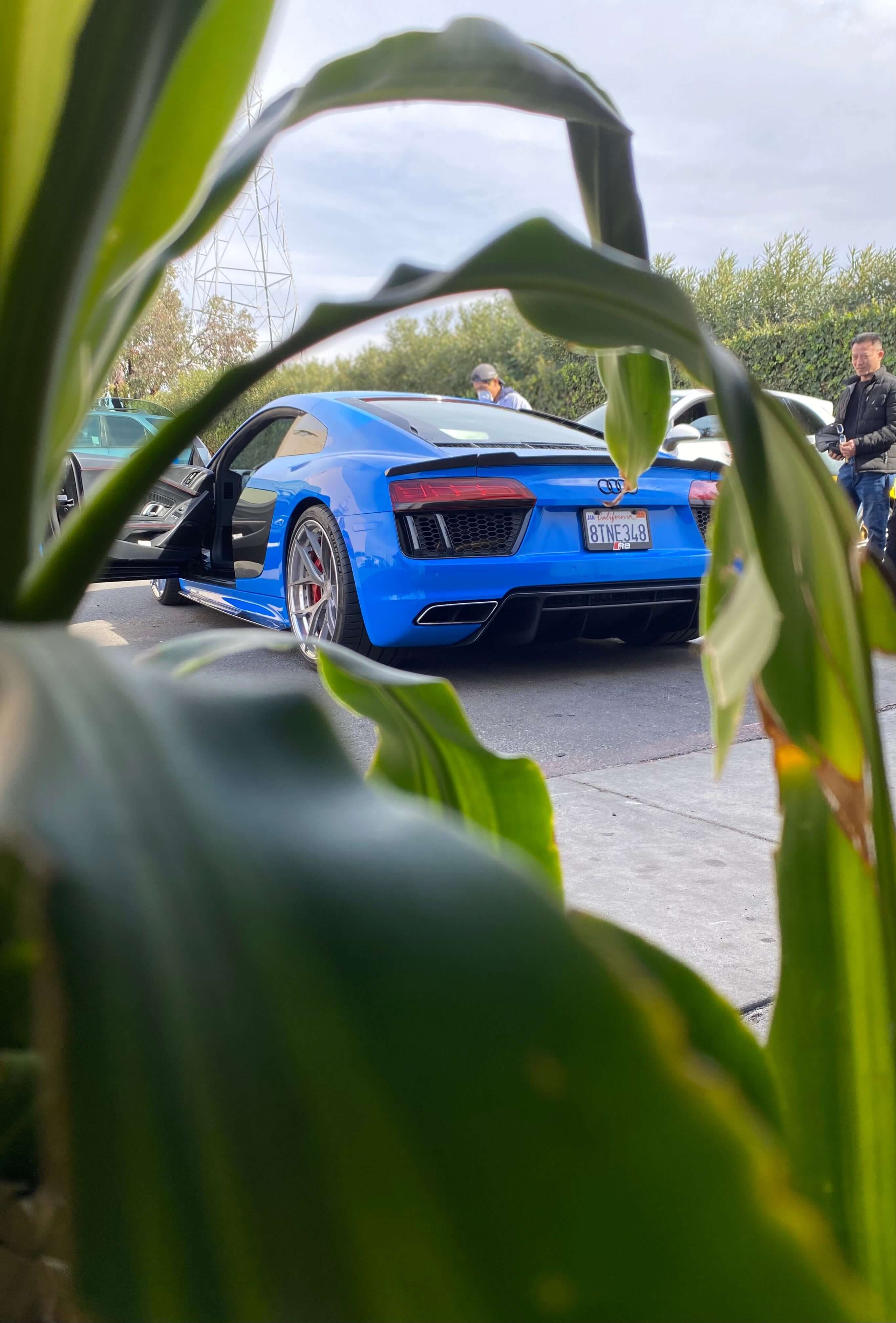 3 Piece Style Carbon Fiber Trunk Spoiler - Audi R8 V10 Type 4S.