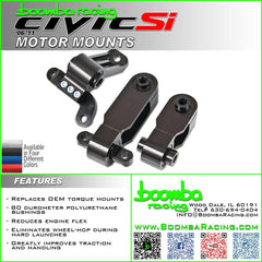 SI 8 MOTOR MOUNTS.