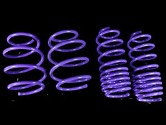 D2 Racing Lowering Springs - Honda