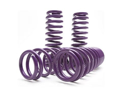 D2 Racing Pro Series Lowering Springs Acura Integra 1994-2001.