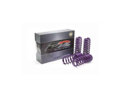 D2 Racing Pro Series Lowering Springs Acura Integra 1994-2001.
