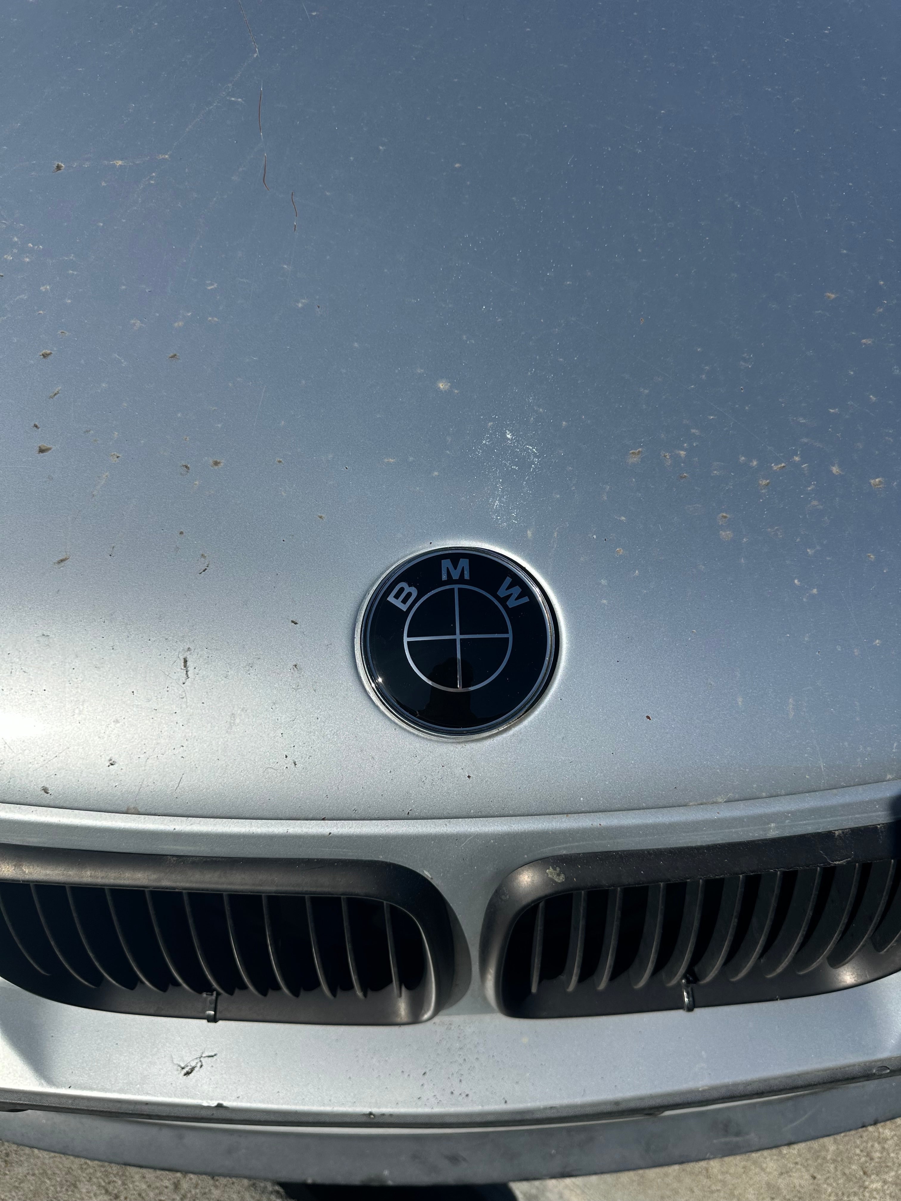 Black BMW Roundel Emblem Set (7 Piece)
