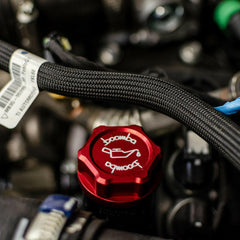 FORD OIL CAP V2.