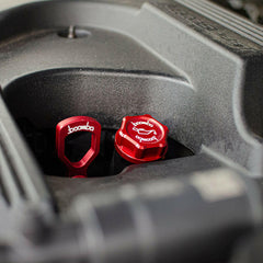 FORD OIL CAP V2.