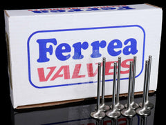 Ferrea Competition Plus B-Series Vtec Valves.