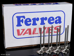 Ferrea Competition Plus B-Series Vtec Valves.