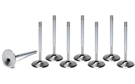 Toyota 3SGE Intake Valves