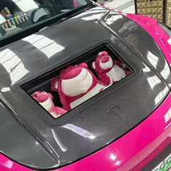 Carbon Fiber Hood W/ window - Tesla Model 3.