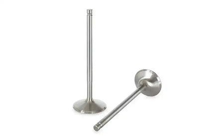 Audi TFSI Ferrea Intake Valve Set 1mm+