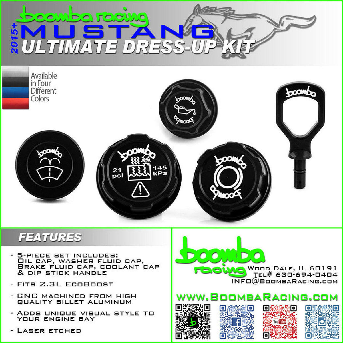 MUSTANG ECOBOOST ULTIMATE ENGINE DRESS UP KIT.
