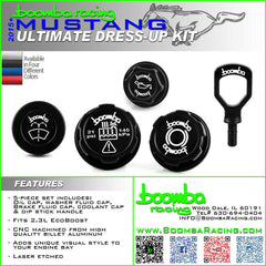 MUSTANG ECOBOOST ULTIMATE ENGINE DRESS UP KIT.