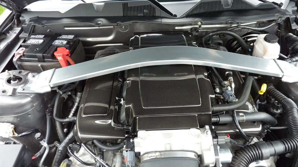 Ford Mustang GT Plenum Cover 2005 2009