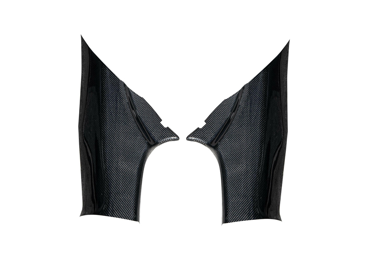 Rexpeed Carbon C Pillar | 2008 - 2015 Mitsubishi Evo X (R162).