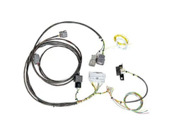 Rywire Chassis Adapter Harness (EG/DC) Honda Civic K-Series | Acura Integra 1992-2001.