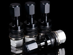 Rays Gram Lights 57 Valve Stem.