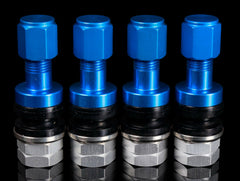 Rays Gram Lights 57 Valve Stem.
